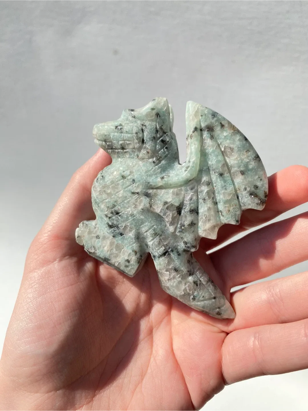 Kiwi Jasper Dragon image indicator(2)