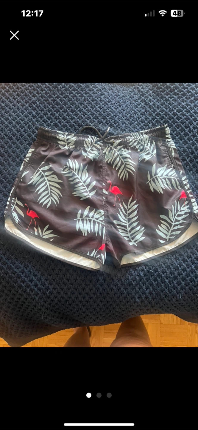 2XL Flamingo Print Swim Shorts 🥕