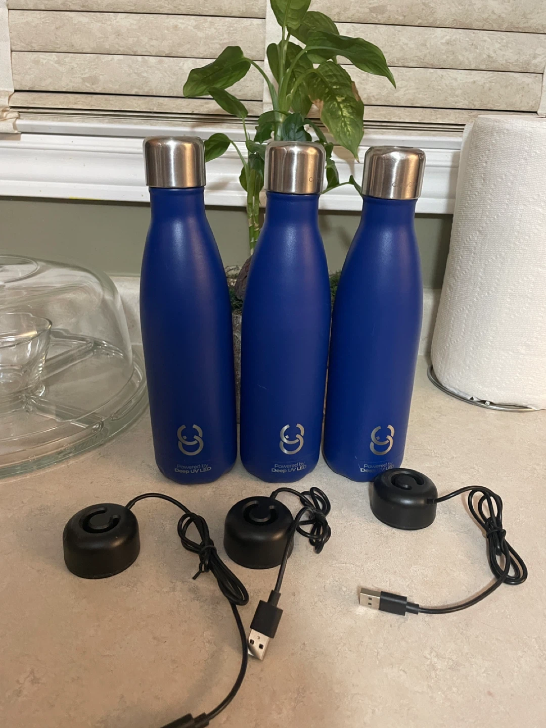 CrazyCap Deep UV LED Water Bottles - Blue