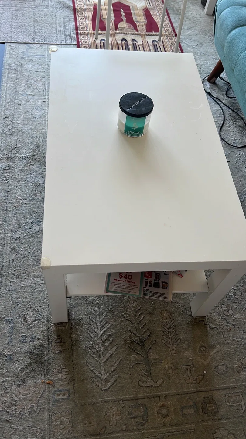 Area Rug and Teal Sofa image indicator(4)