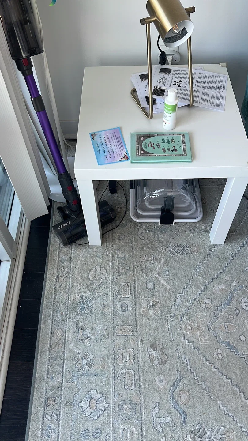 Area Rug and Teal Sofa image indicator(3)