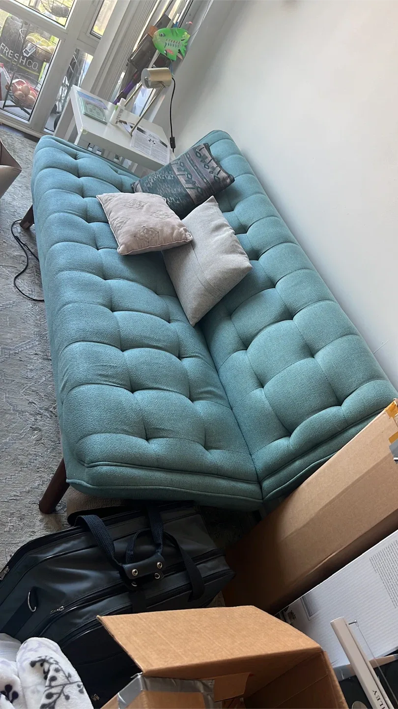 Area Rug and Teal Sofa image indicator(2)