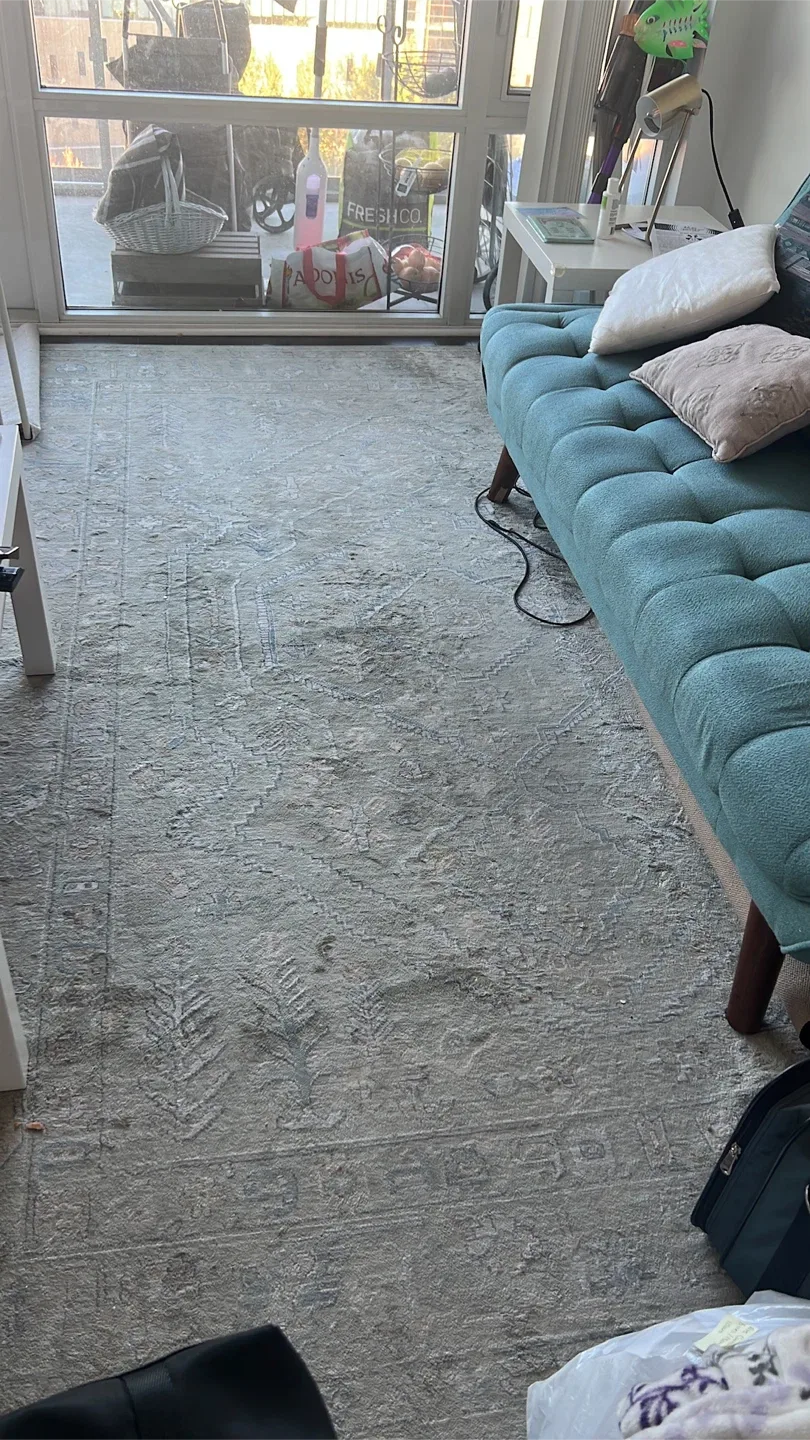 Area Rug and Teal Sofa image indicator(5)