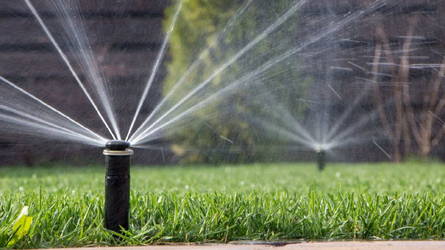 Need a blow? Let us know! Sprinkler blowout/winterization thumbnail