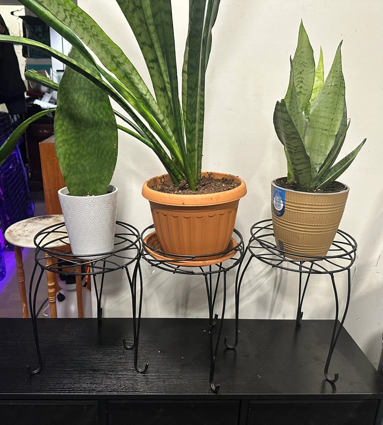 Set of 3 Black Metal Plant Stands - photo 2