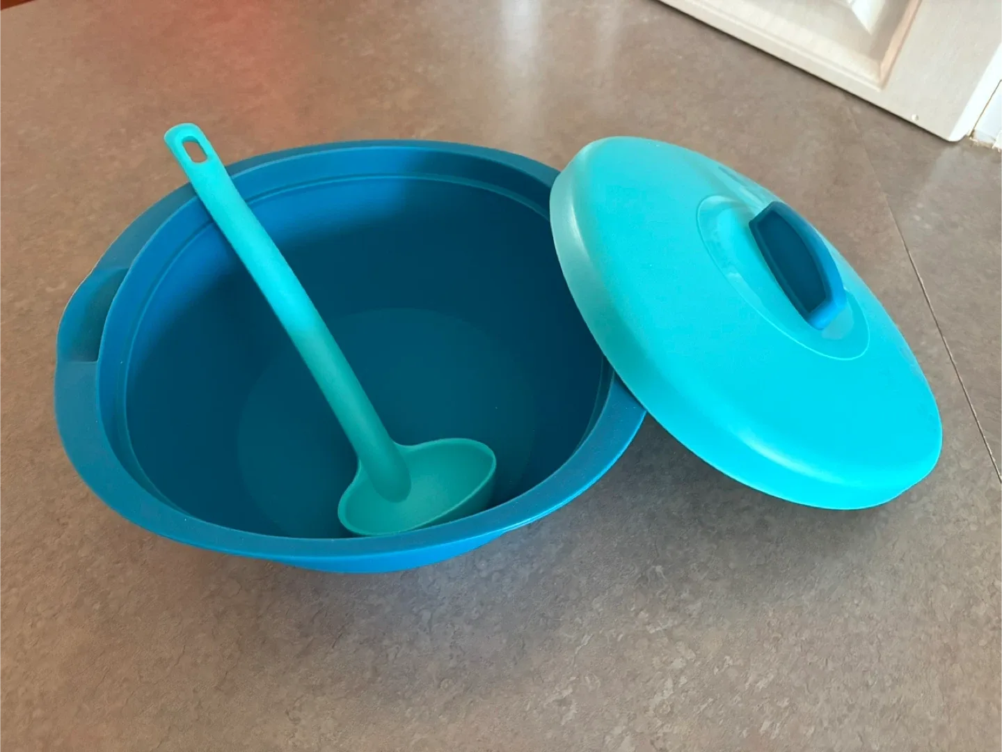 🥕 2 pcs Serving Bowl with Lid & Ladle image indicator(4)