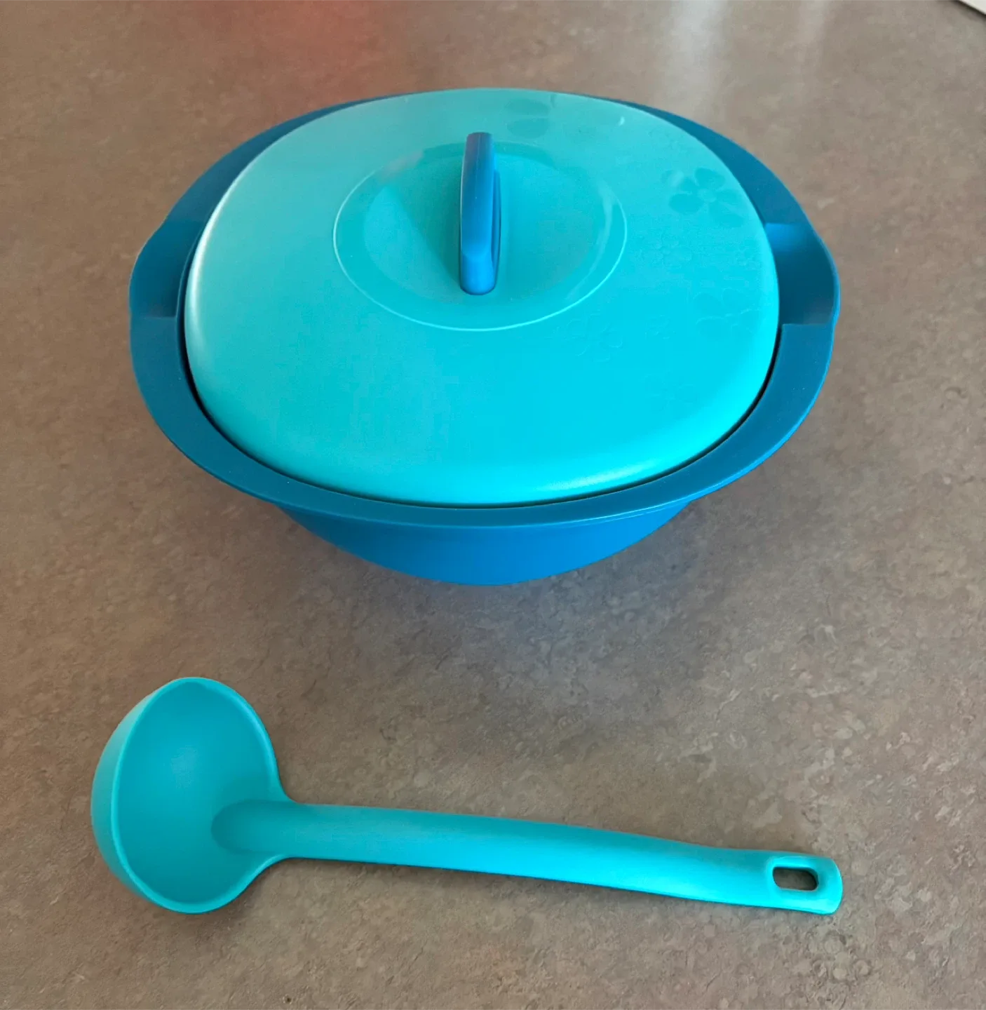 🥕 2 pcs Serving Bowl with Lid & Ladle image indicator(3)