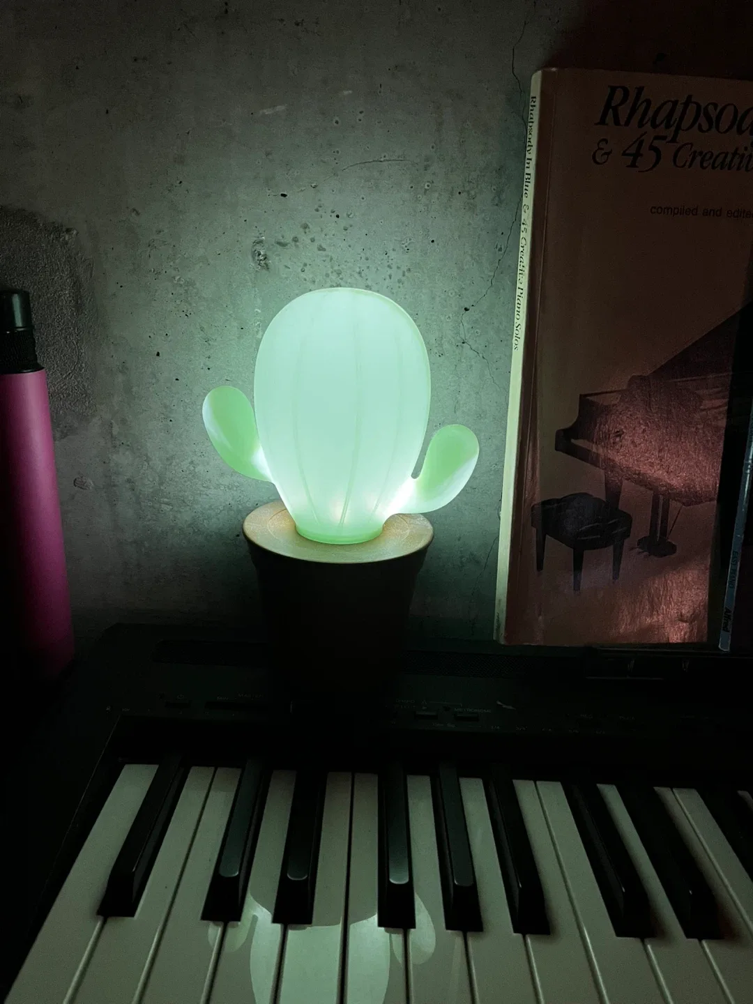 Cactus Mood Light image indicator(2)