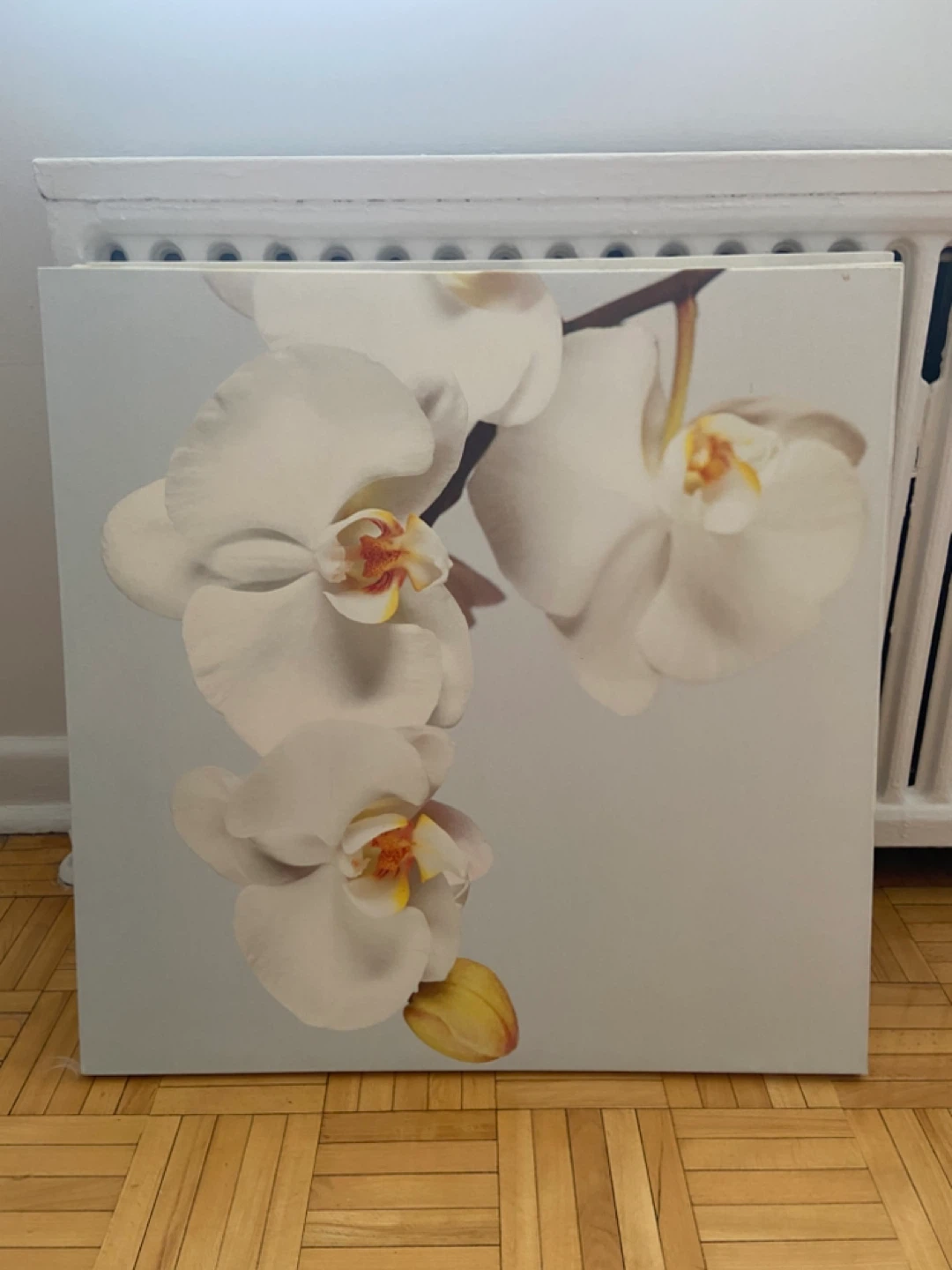 Orchid Flower Wall Art - Set of 3 - photo 4