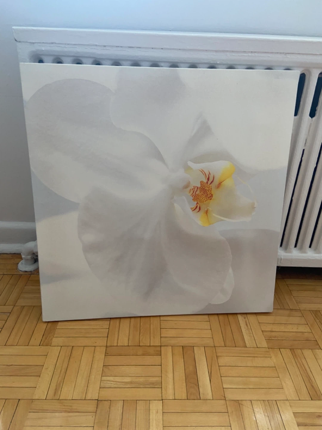 Orchid Flower Wall Art - Set of 3