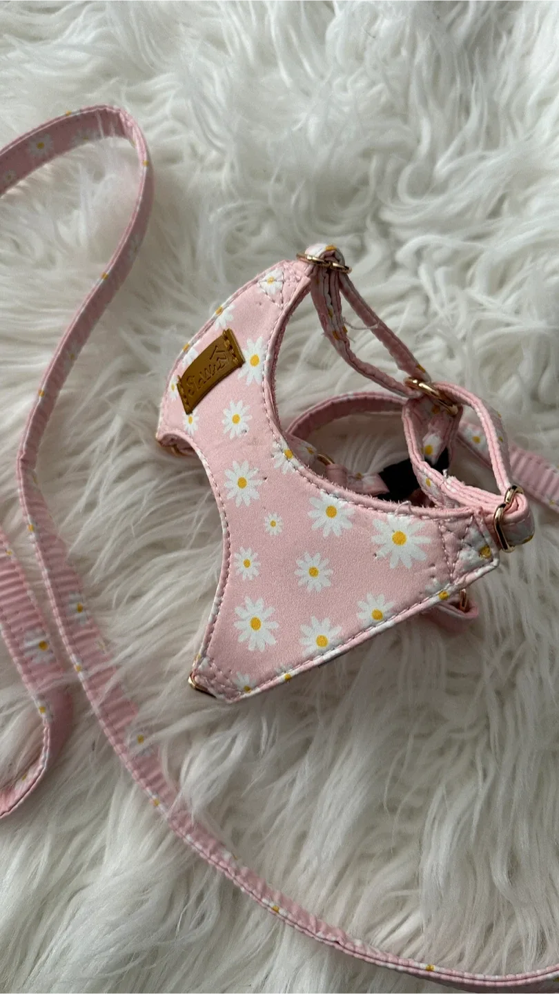 Harness & Leash Set (Small) image indicator(3)