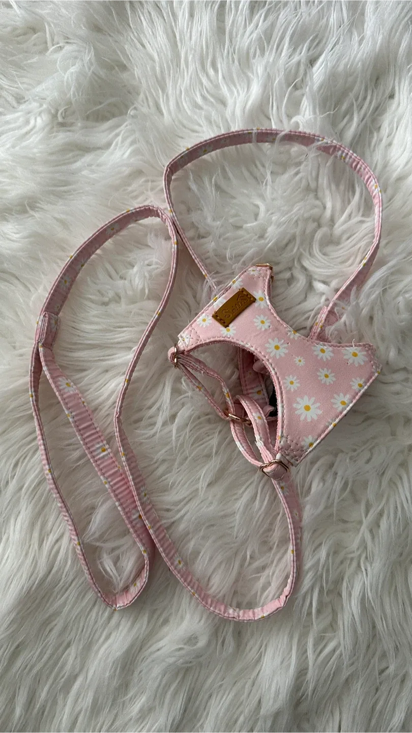 Harness & Leash Set (Small) image indicator(2)