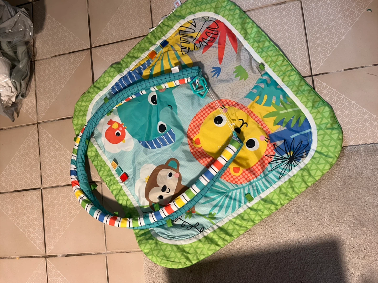 FREE Baby Activity Gym Play Mat