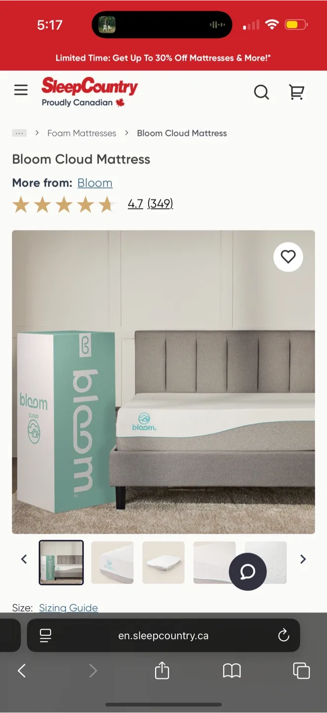 Bloom Cloud Full Size Mattress thumbnail