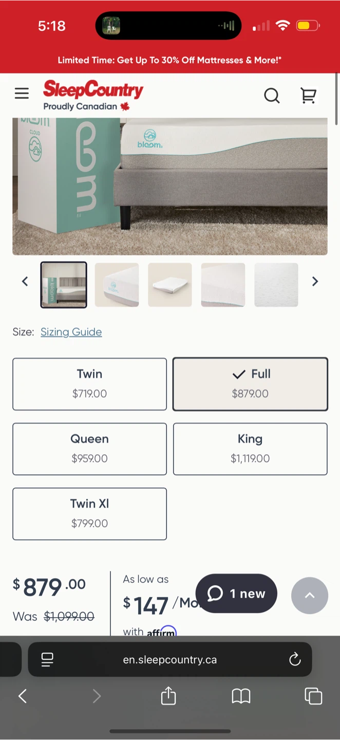 Bloom Cloud Full Size Mattress - photo 4