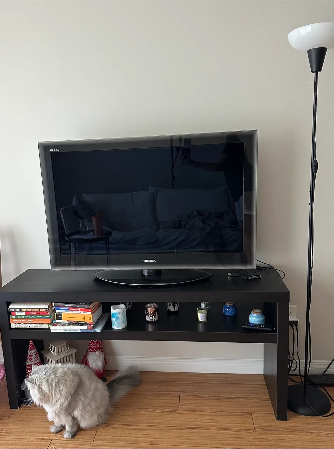 Toshiba REGZA 42ZV655U 42" Television thumbnail