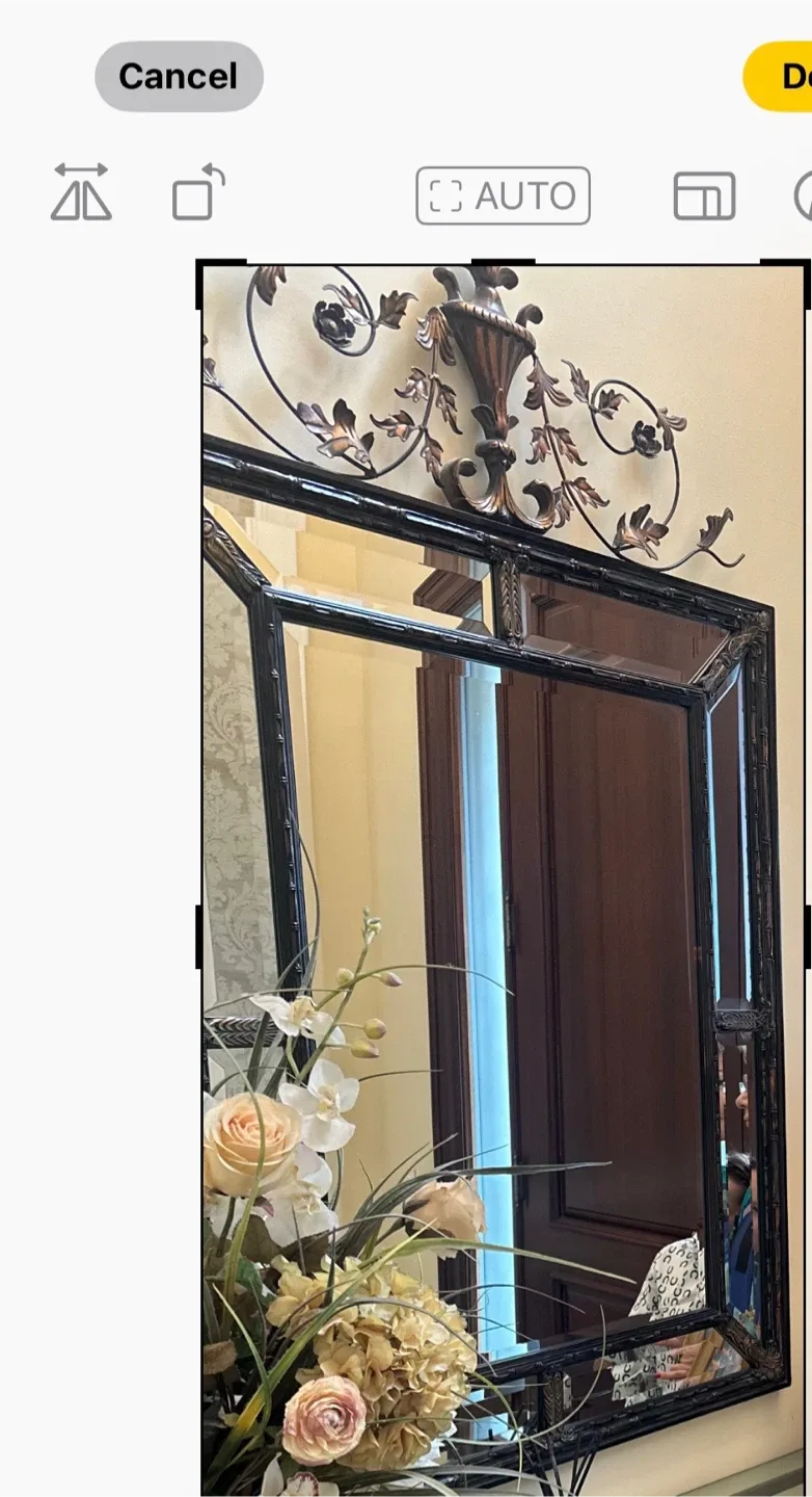 Ornate Black Framed Wall Mirror