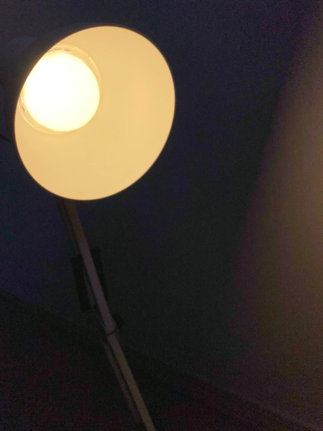 Study or Work Lamp - White - photo 4