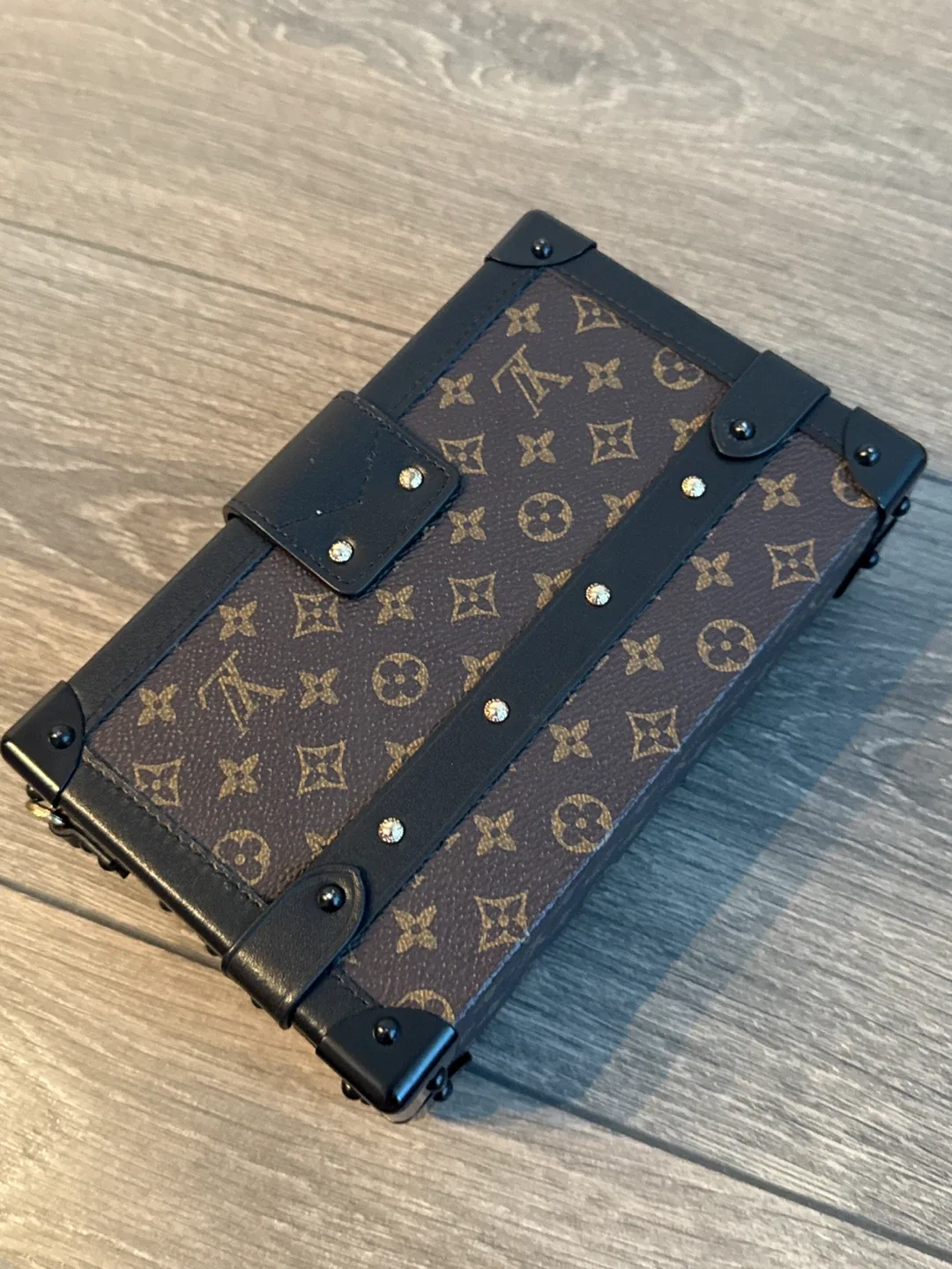 Louis Vuitton Trunk Clutch image indicator(3)