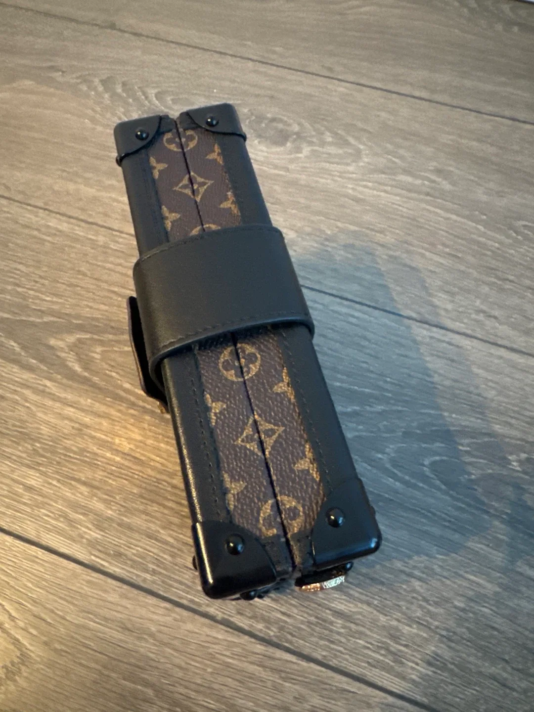 Louis Vuitton Trunk Clutch image indicator(2)