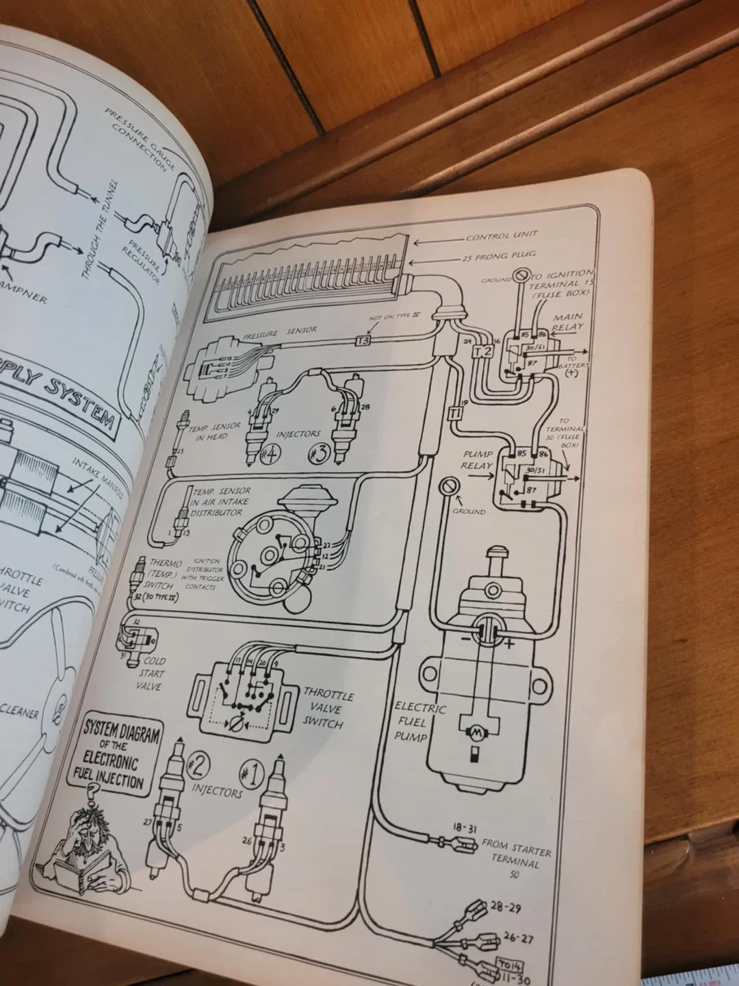 How to Keep Your Volkswagen Alive by John Muir image indicator(3)
