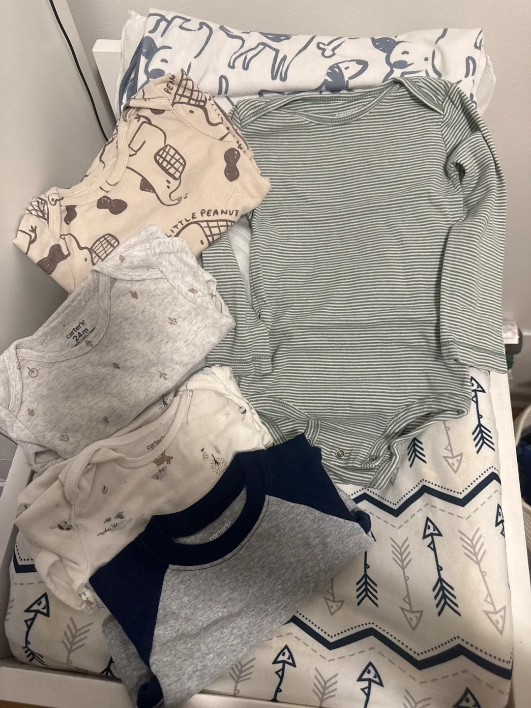 Carter's Baby Bodysuits Bundle - 24 Months thumbnail
