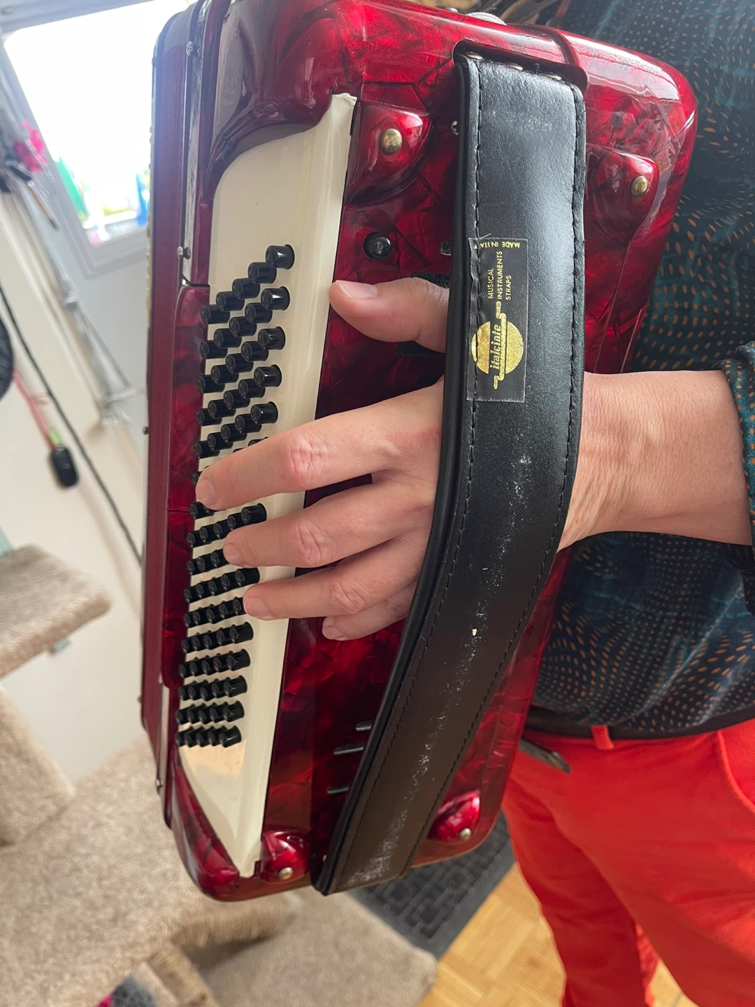 Super Stradella Accordion - photo 2