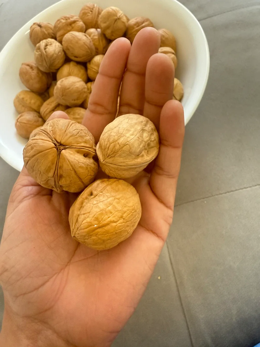 Fresh Walnuts - 1 lb image indicator(3)