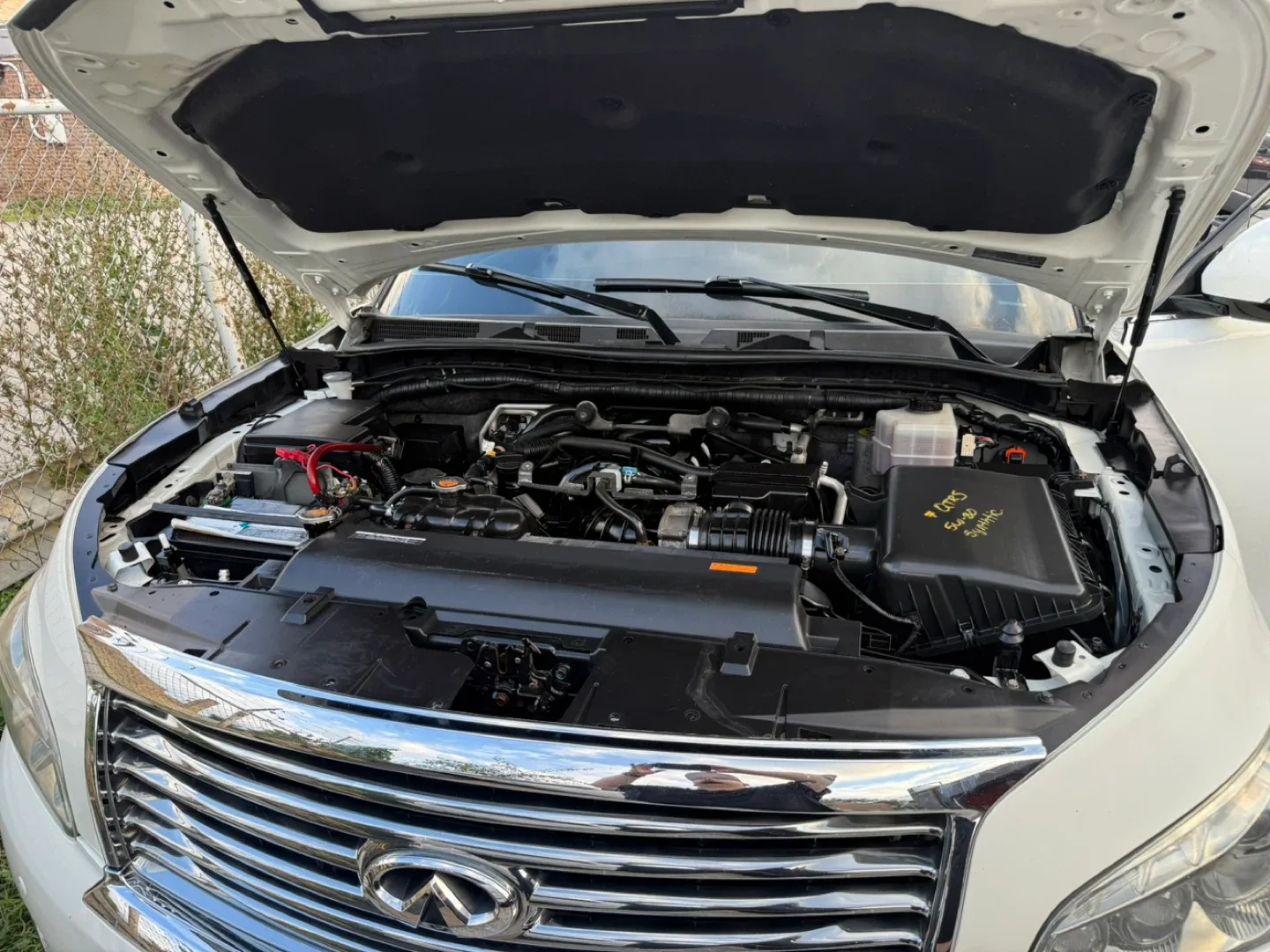 Infiniti QX80 White SUV image indicator(4)