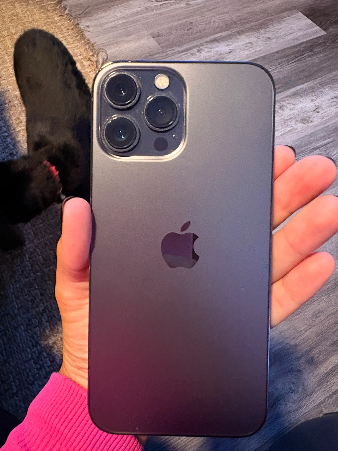 iPhone 13 Pro Max - Good Condition - photo 5
