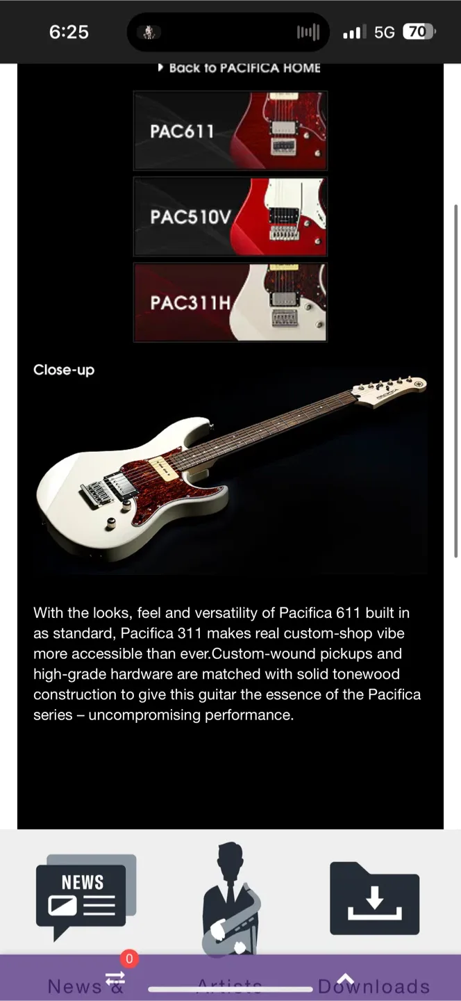 Yamaha Pacifica & Fender Mustang Guitar Amp & Godin bag image indicator(9)