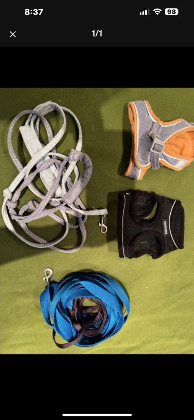 Dog Harnesses and Leashes thumbnail
