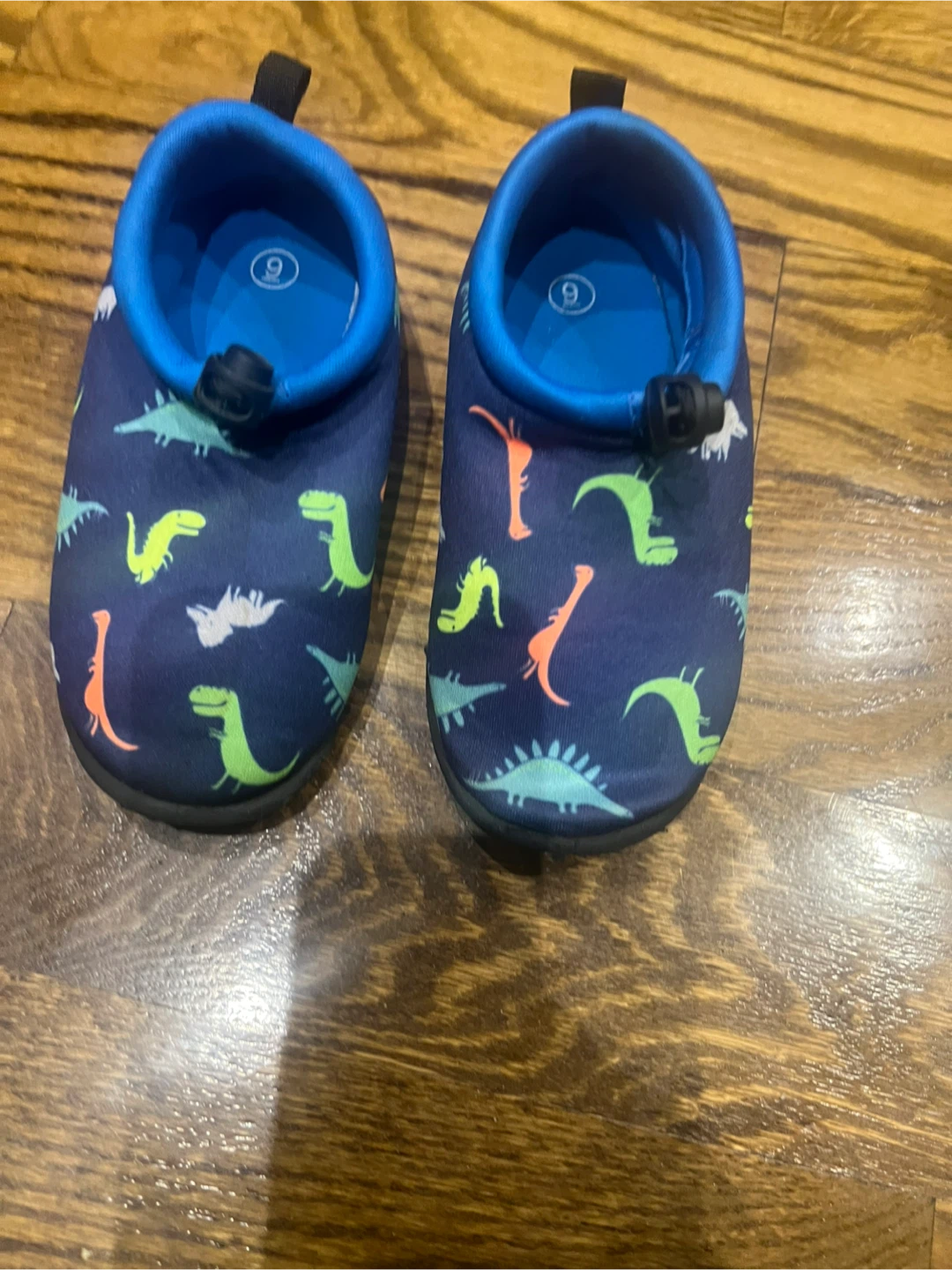 Dinosaur Water Shoes - Size 9