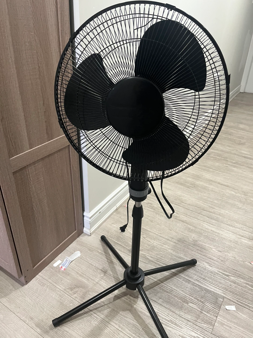 Fan