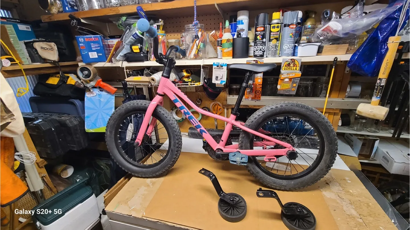 Trek Precaliber 16 Pink Kids Bike + Training Wheels image indicator(2)