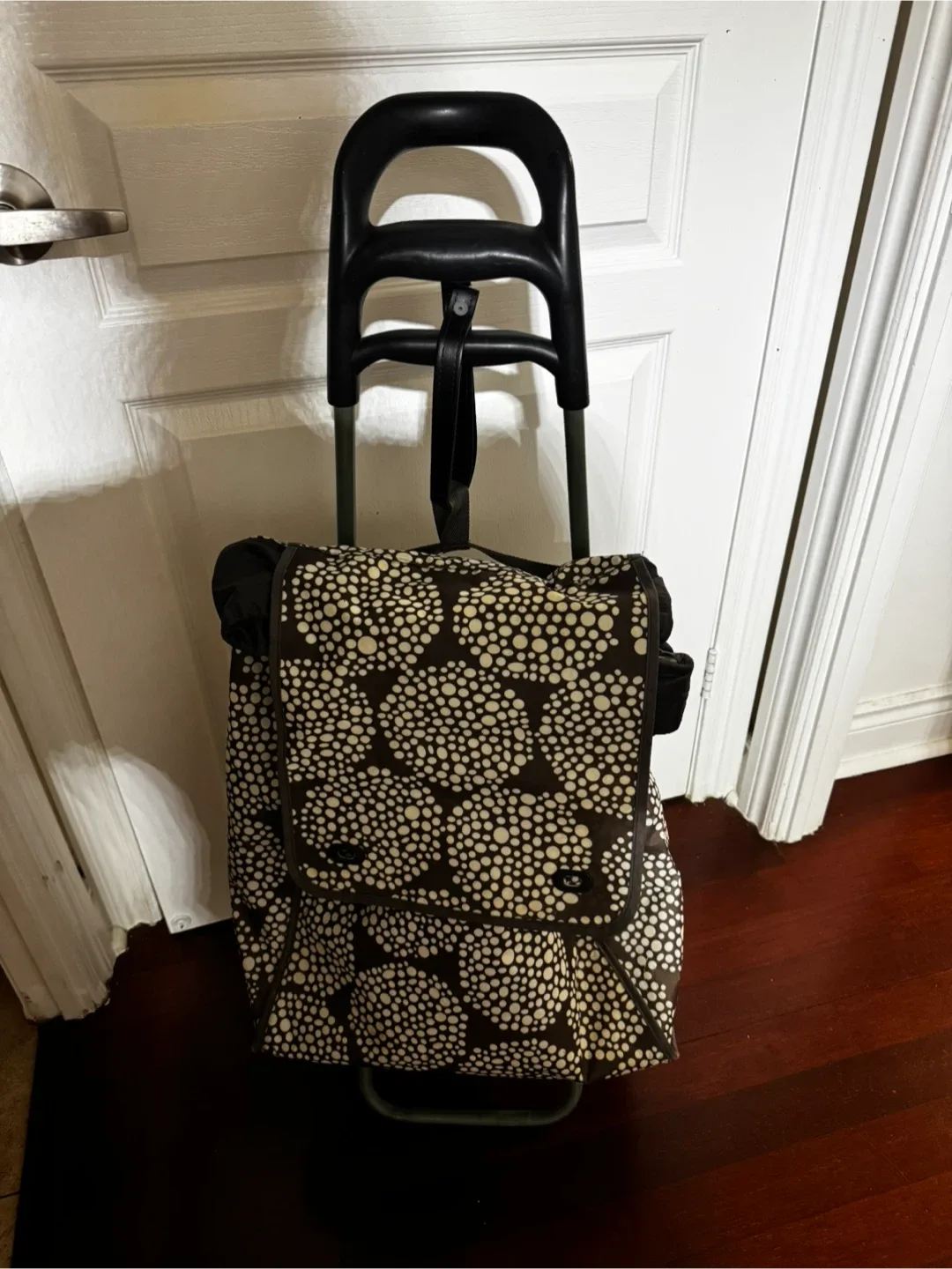 IKEA Shopping Bag with Wheels thumbnail