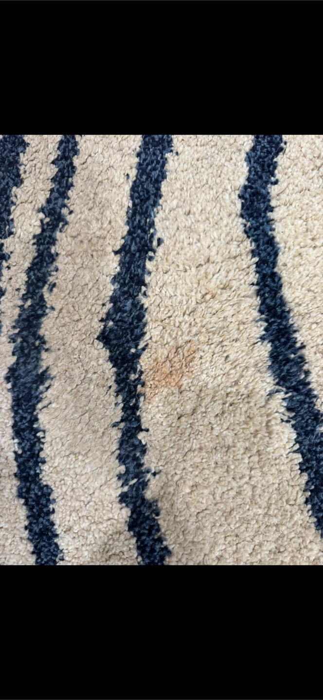 Area Rug - Blue & Beige - photo 2