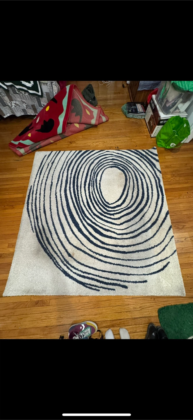 Area Rug - Blue & Beige