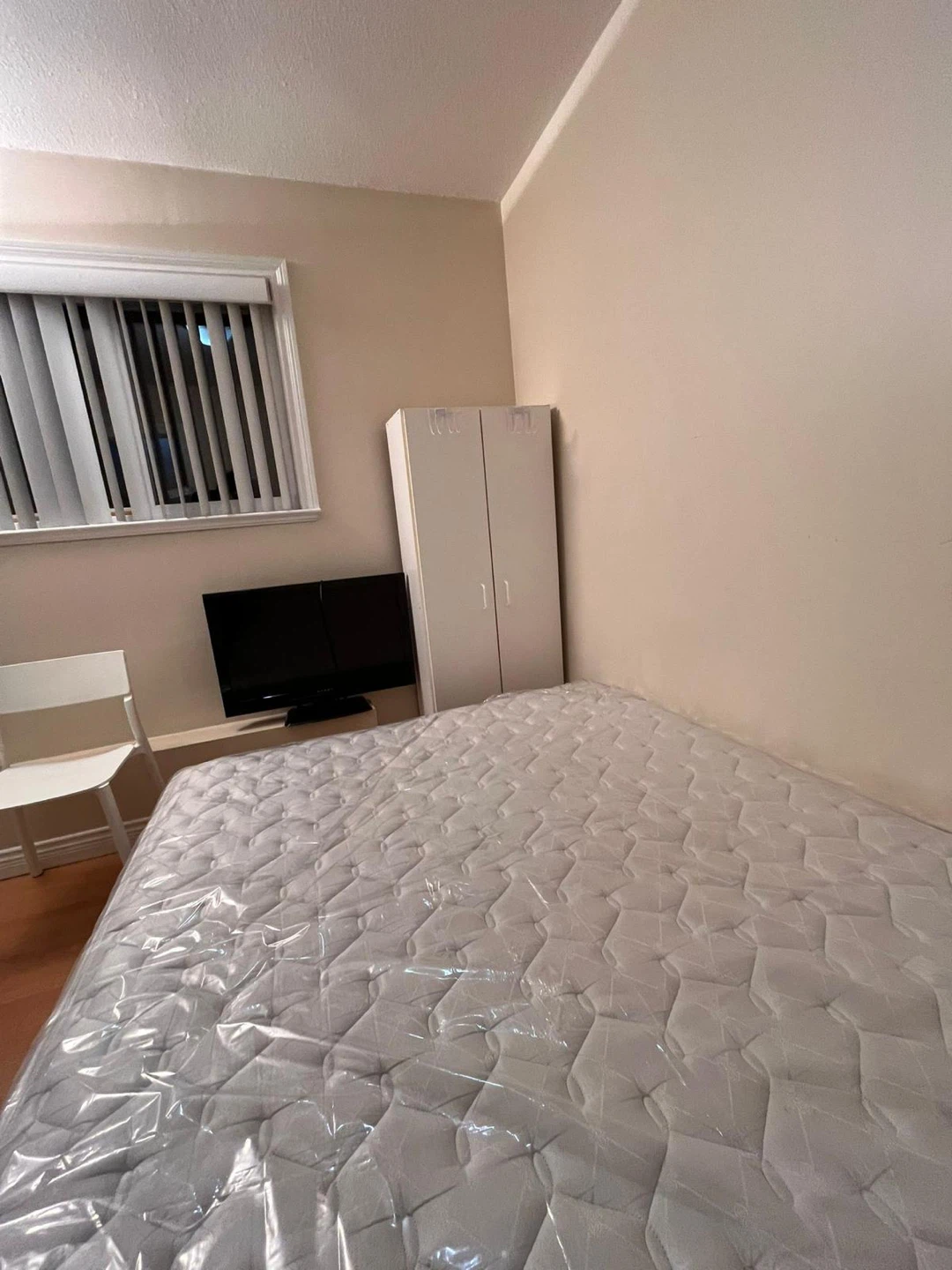1 room for rent in 2 bedroom ground floor suite. Need 1 girl - photo 3