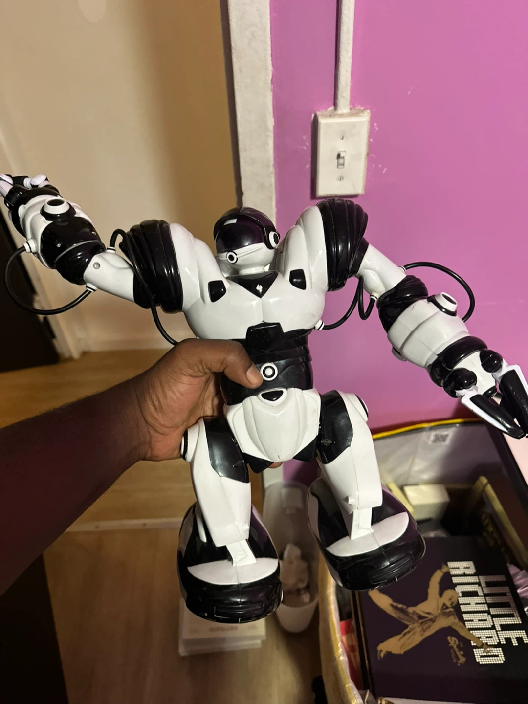 Black and White Robot Toy