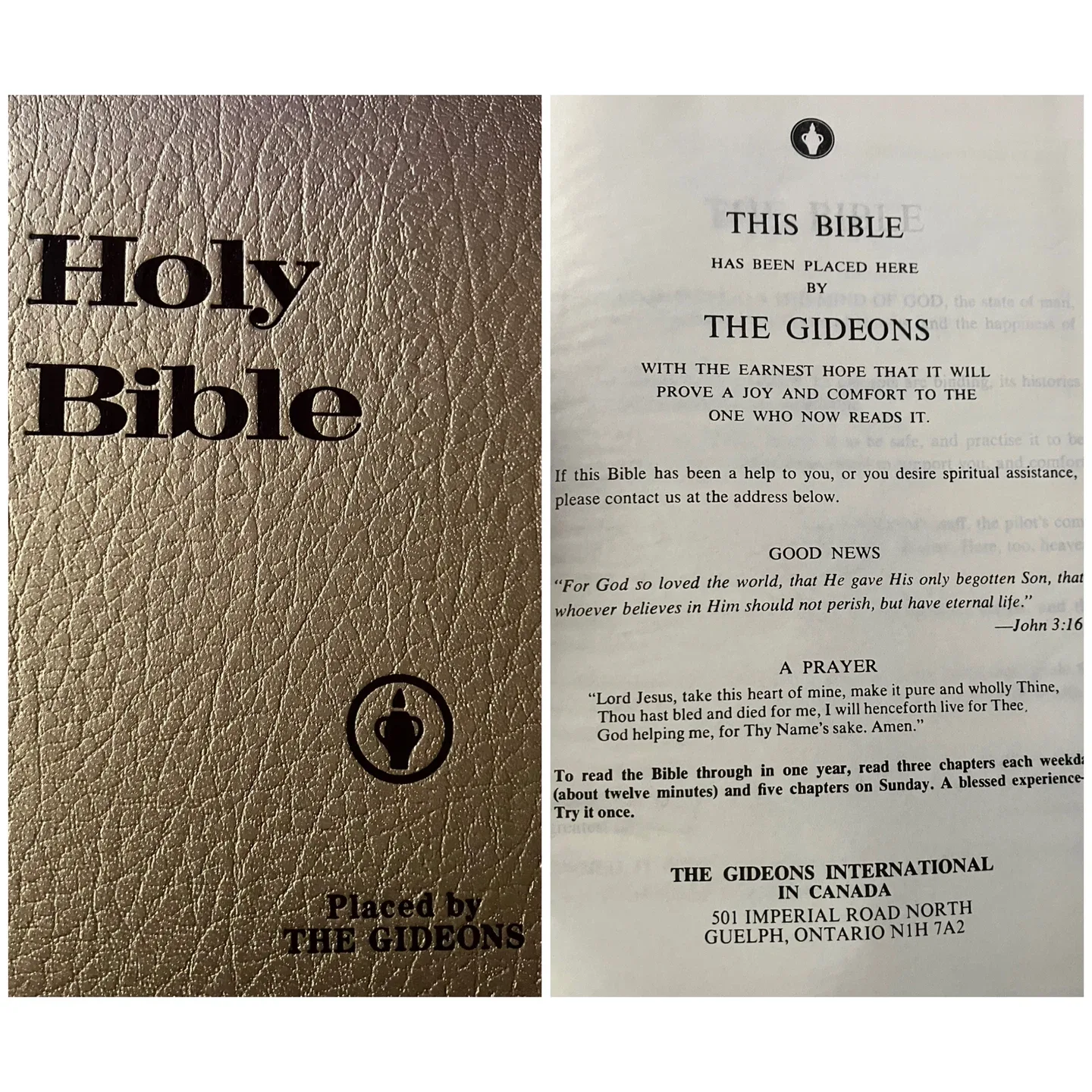 (Book) Holy Bible - King James Version thumbnail
