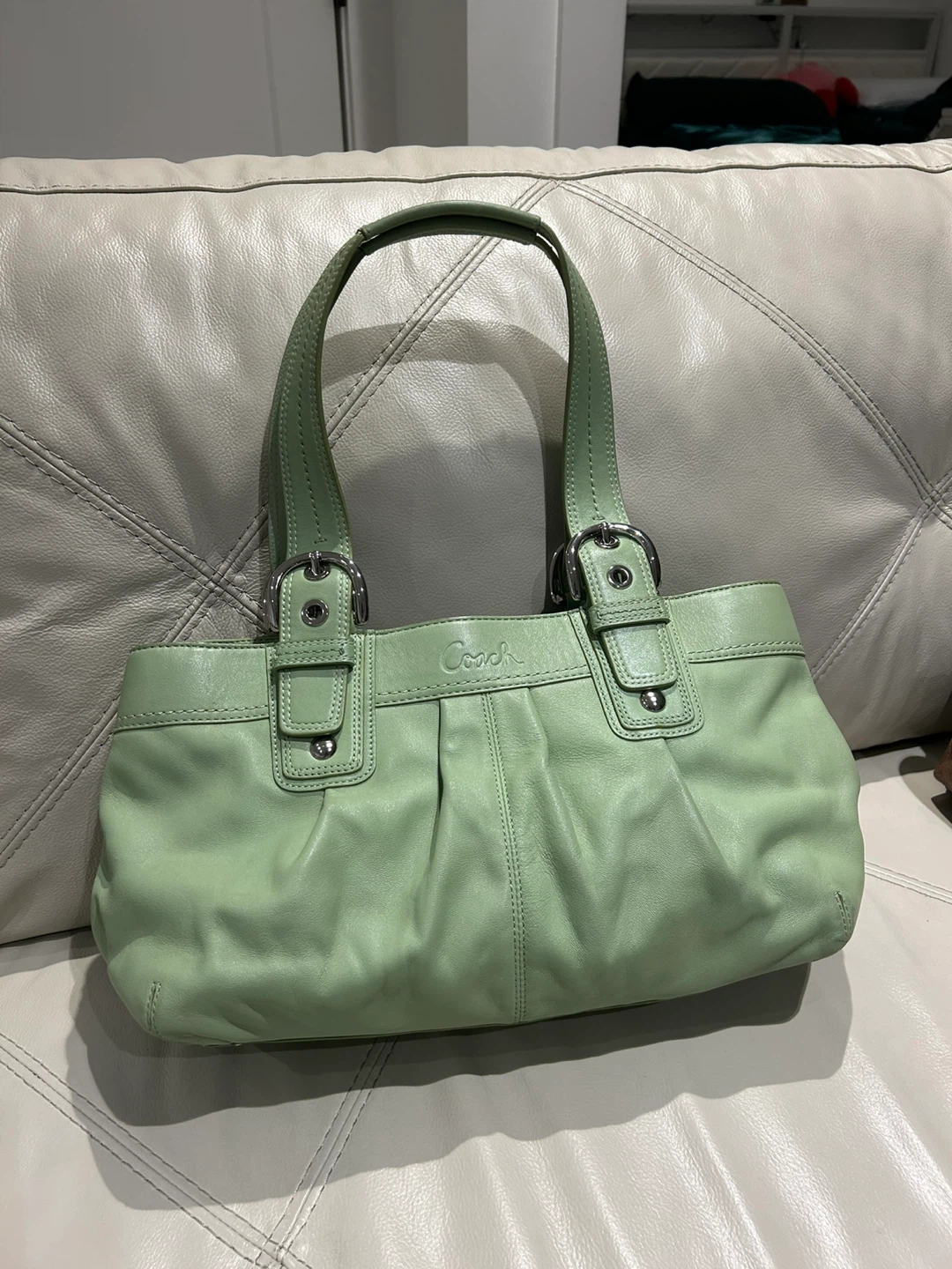 Coach Leather Handbag - Light Green