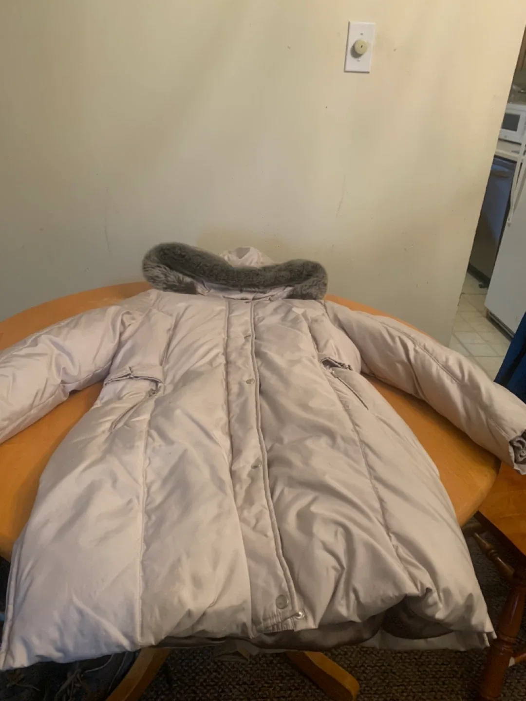 Beige Winter Coat with Faux Fur Hood image indicator(3)