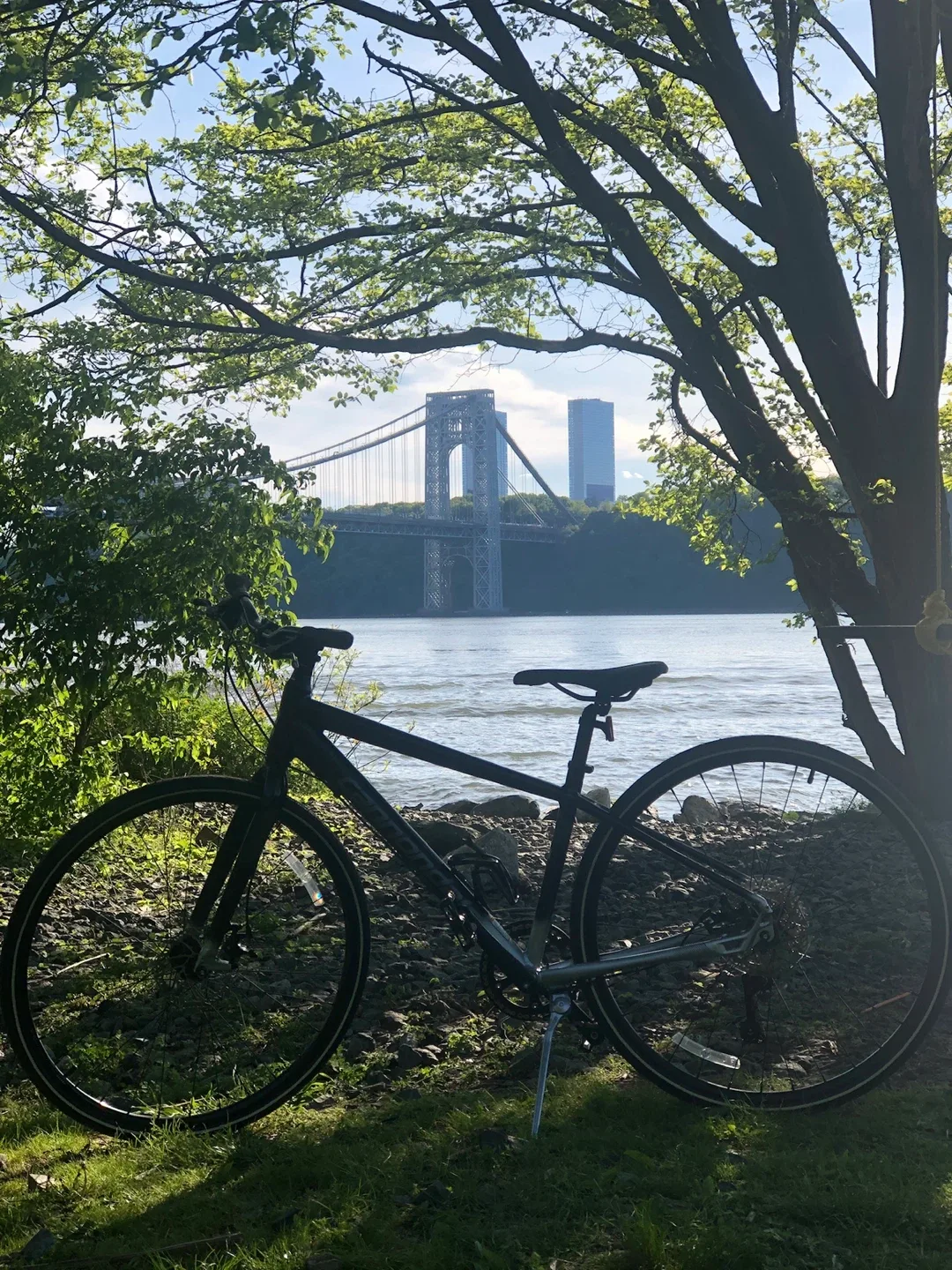 Cannondale Bike image indicator(3)