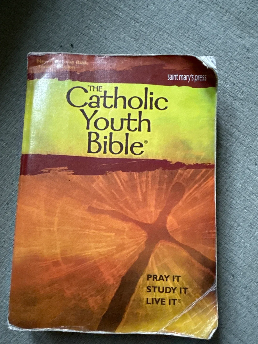 The Catholic Youth Bible thumbnail