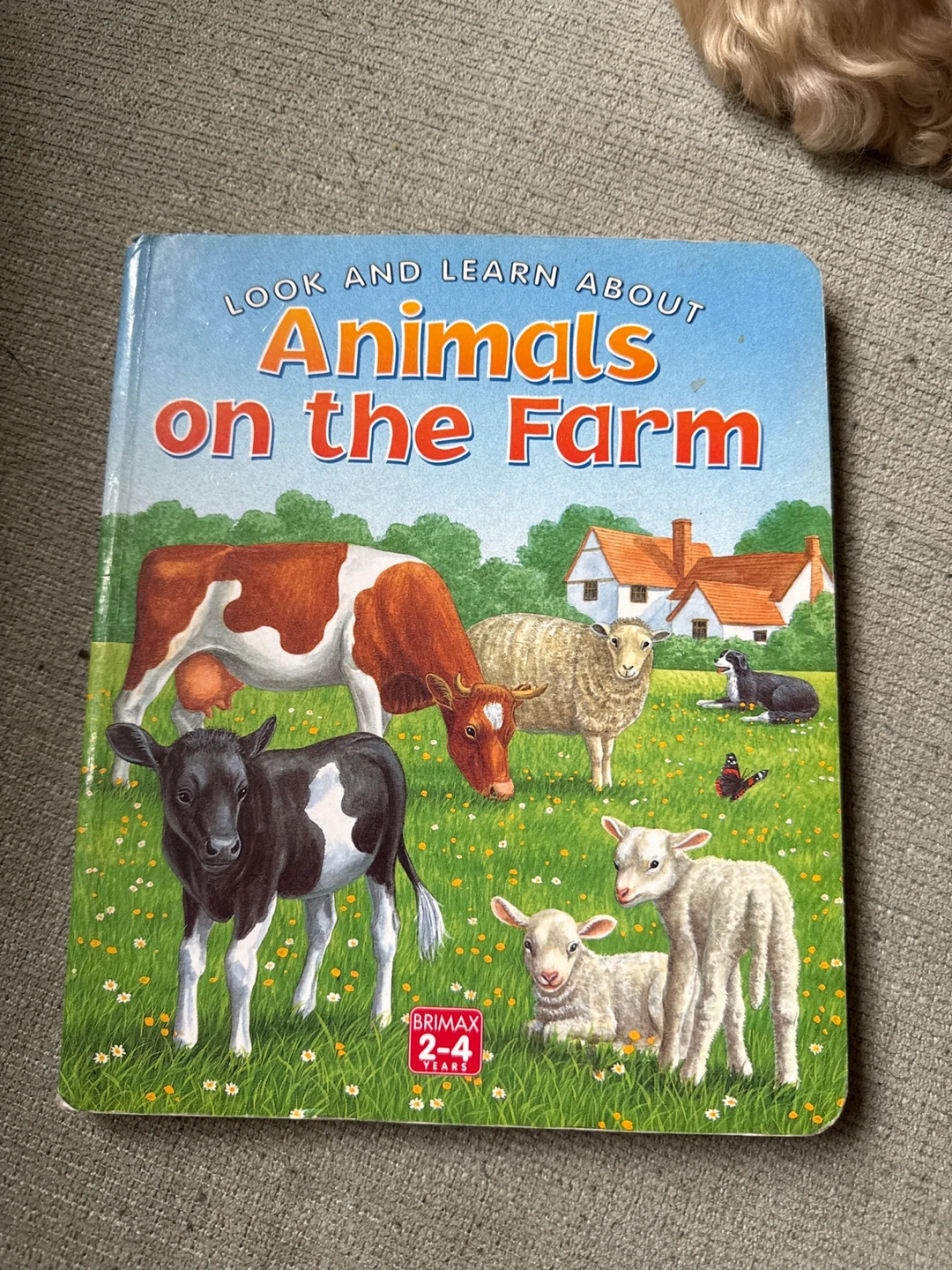 Look and Learn About Animals on the Farm Book