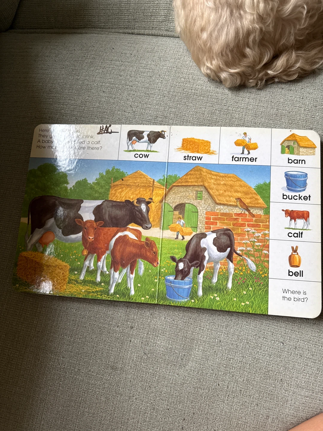 Look and Learn About Animals on the Farm Book - photo 2