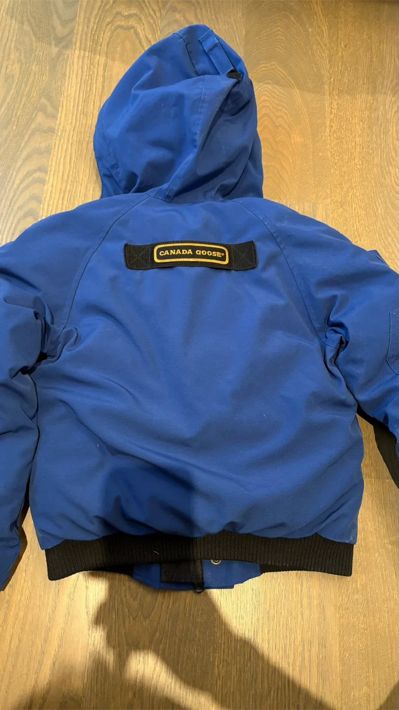 Canada Goose Bomber Jacket Blue Size M/M (10-12) image indicator(3)