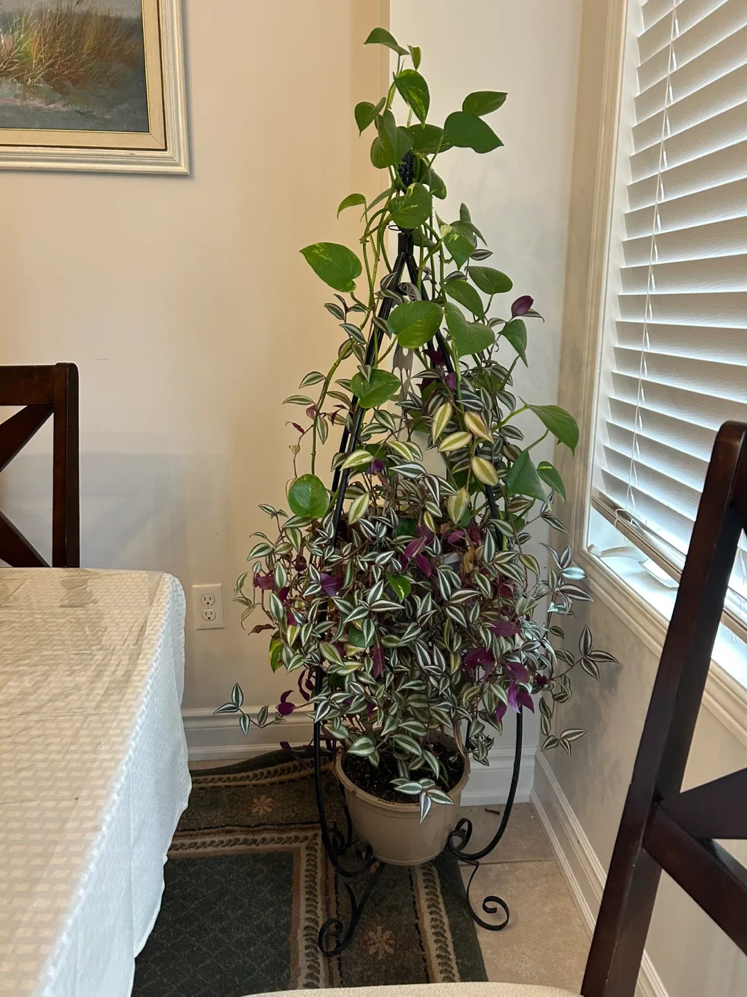 Black Metal Plant Stand image indicator(2)