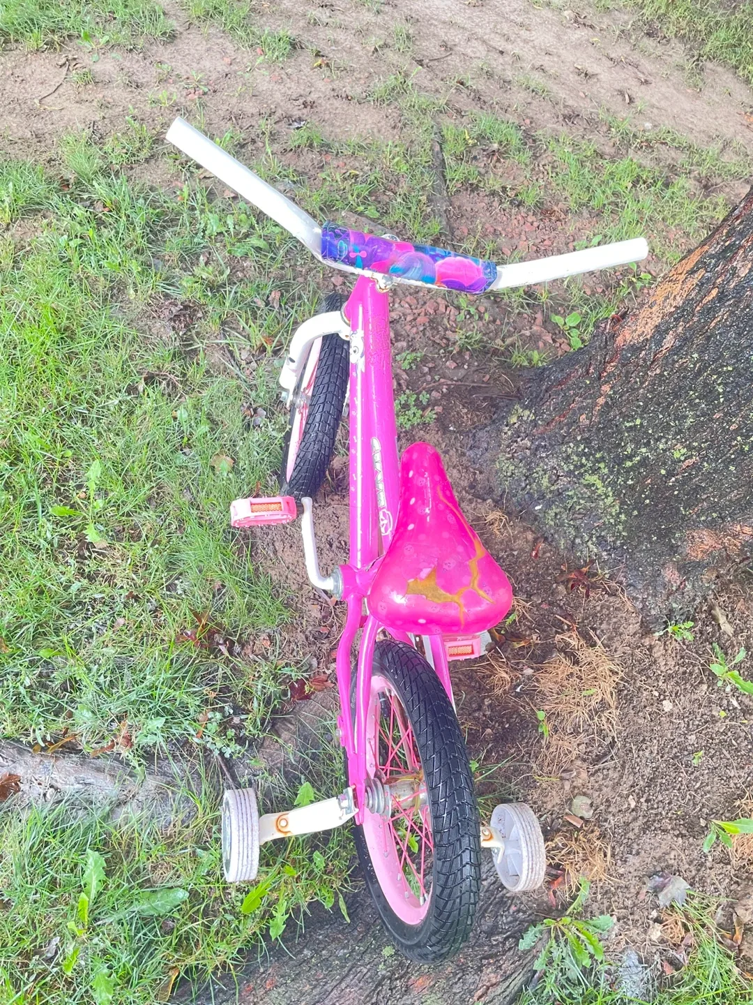 FREE 12 Girl's Bike with Training Wheels image indicator(2)